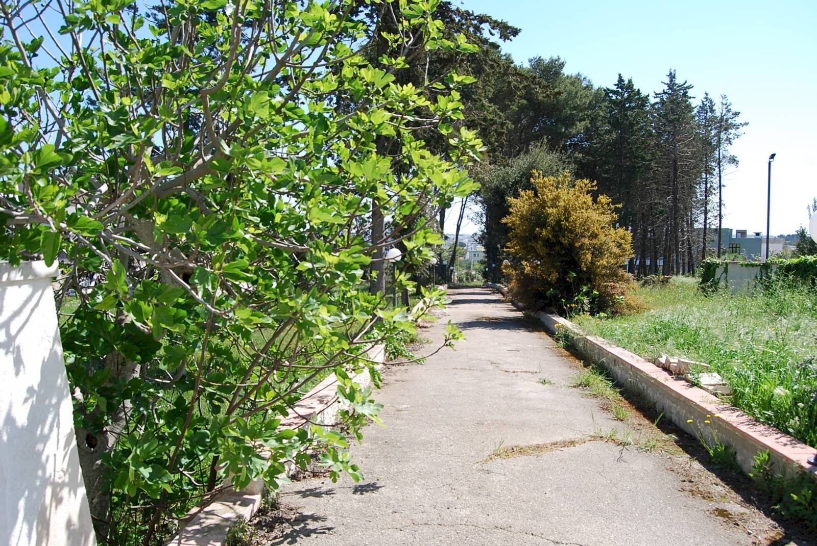 Foto 2 - Terreno edificabile Via Mottola
 
91, Martina Franca - foto 2