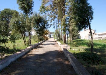 Foto 1 - Terreno edificabile Via Mottola
91, Martina Franca - foto 1