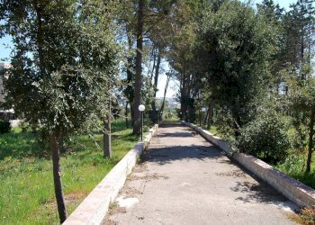 Foto 3 - Terreno edificabile Via Mottola
91, Martina Franca - foto 3