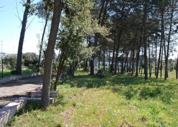 Foto 4 - Terreno edificabile Via Mottola
91, Martina Franca - foto 4