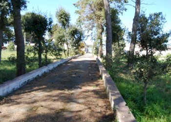 Foto 5 - Terreno edificabile Via Mottola
91, Martina Franca - foto 5