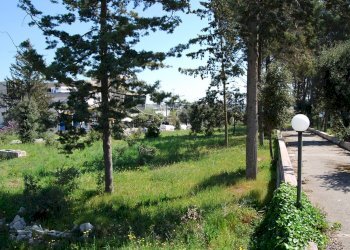 Foto 10 - Terreno edificabile Via Mottola
91, Martina Franca - foto 10