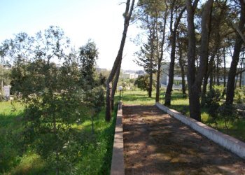 Foto 12 - Terreno edificabile Via Mottola
91, Martina Franca - foto 12