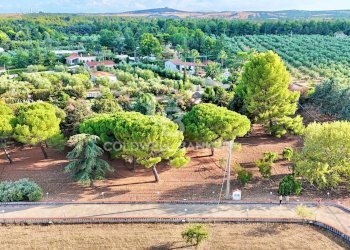 Foto 34 - Villa Contrada Abbondanza, Andria - foto 34