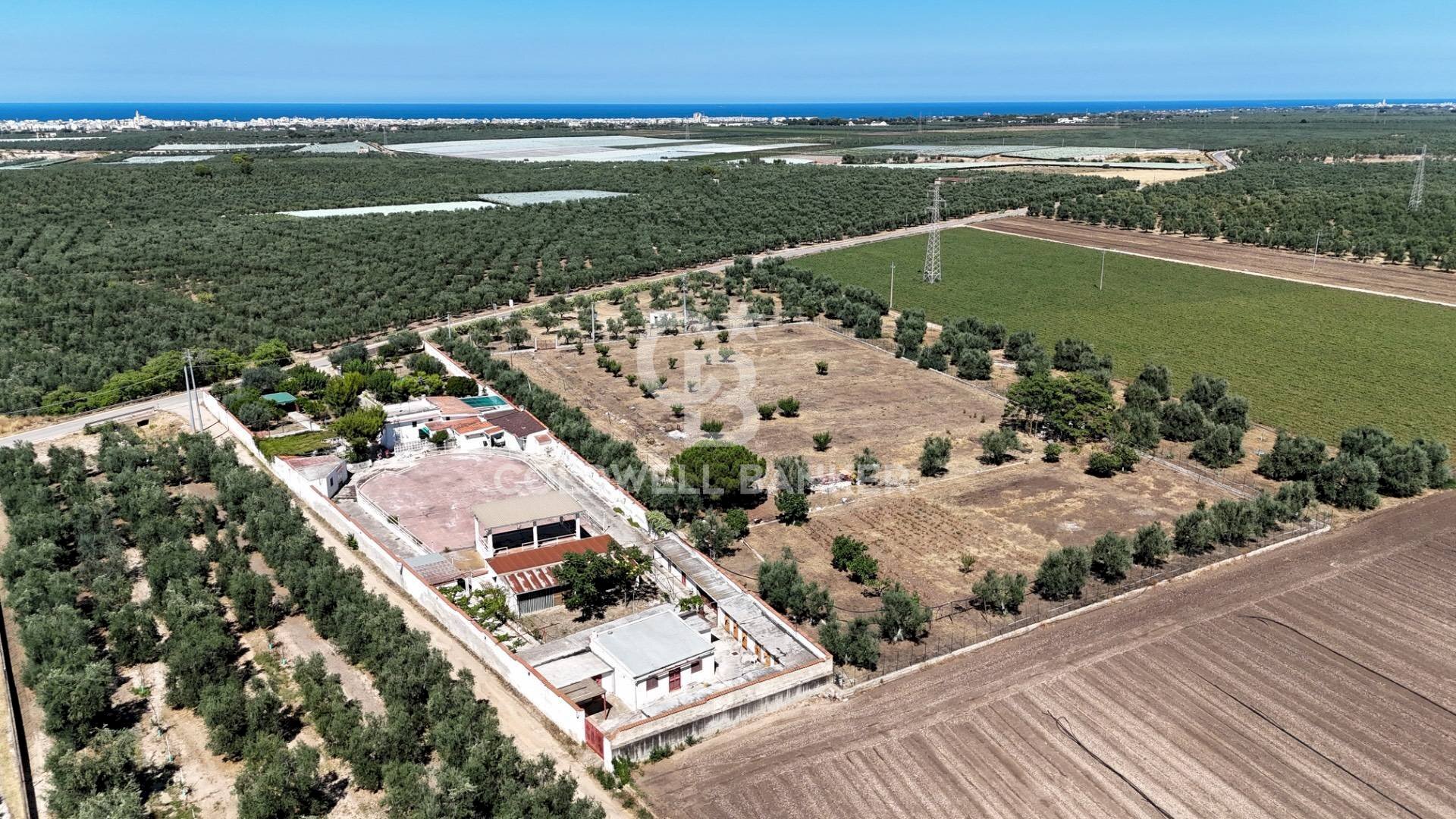 Foto 2 - Rustic STRADA PROVINCIALE 13
 
NC, Trani - photo 2