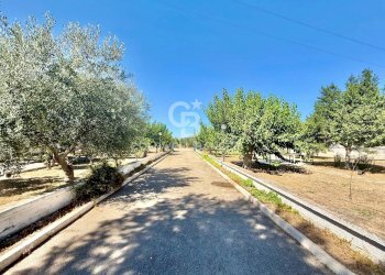 Foto 4 - Rustic STRADA PROVINCIALE 13
 
NC, Trani - photo 4