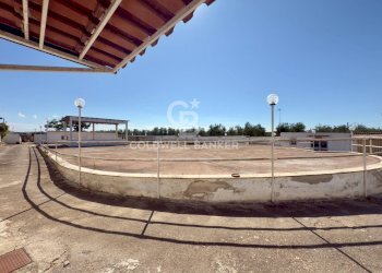 Foto 5 - Rustic STRADA PROVINCIALE 13
 
NC, Trani - photo 5