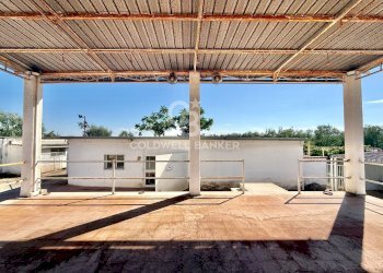 Foto 9 - Rustic STRADA PROVINCIALE 13
 
NC, Trani - photo 9