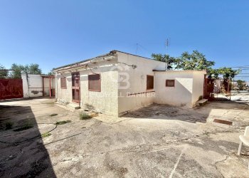 Foto 10 - Rustic STRADA PROVINCIALE 13
 
NC, Trani - photo 10