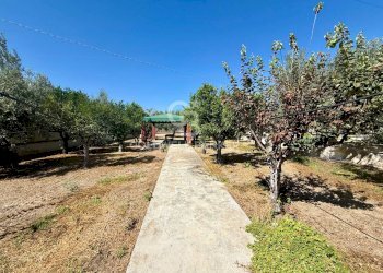 Foto 12 - Rustic STRADA PROVINCIALE 13
 
NC, Trani - photo 12