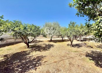 Foto 35 - Rustic STRADA PROVINCIALE 13
 
NC, Trani - photo 35