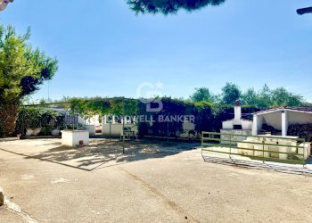 Foto 36 - Rustic STRADA PROVINCIALE 13
 
NC, Trani - photo 36