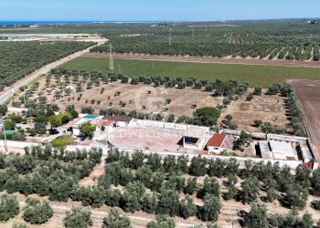 Foto 38 - Rustic STRADA PROVINCIALE 13
 
NC, Trani - photo 38