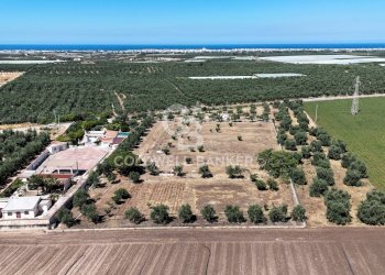 Foto 39 - Rustic STRADA PROVINCIALE 13
 
NC, Trani - photo 39