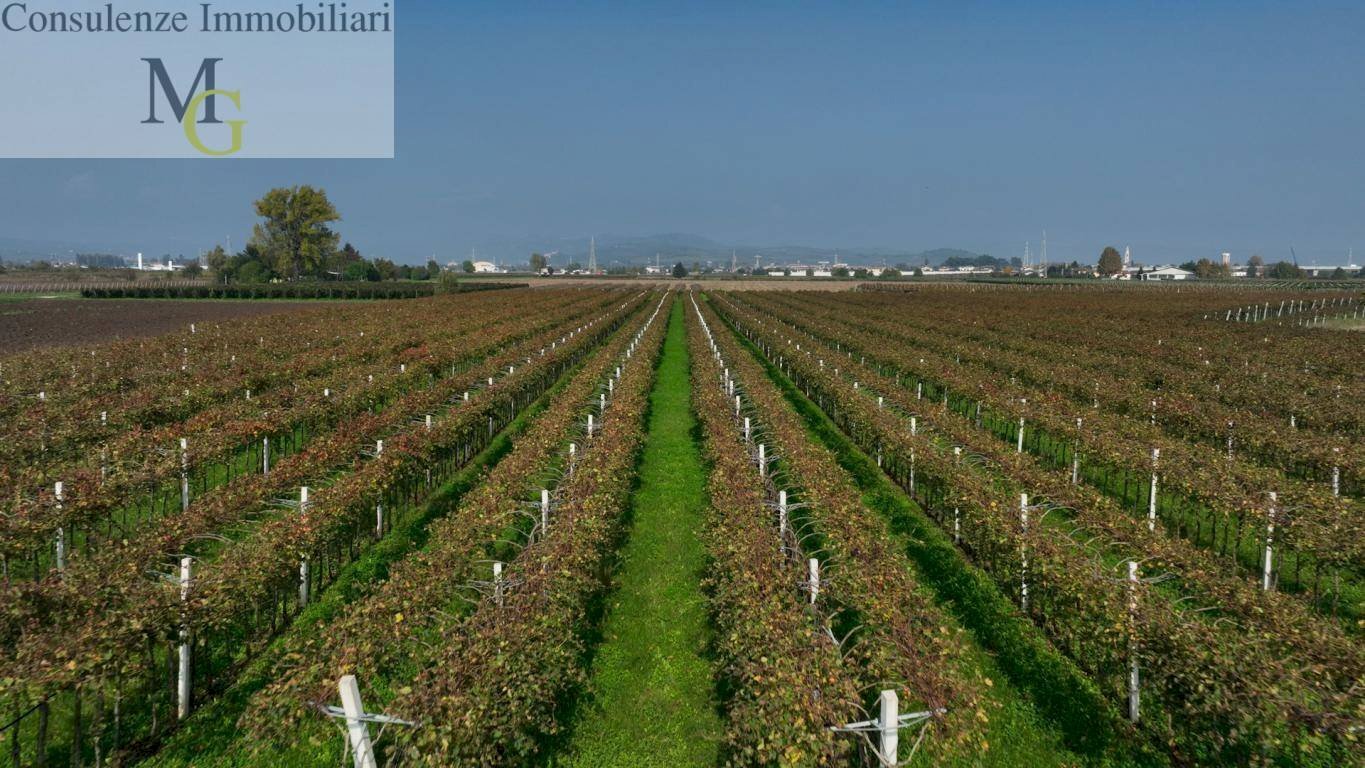 Foto 1 - Terreno agricolo San Bonifacio - foto 1