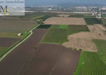 Foto 4 - Terreno agricolo San Bonifacio - foto 4