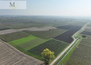 Foto 5 - Terreno agricolo San Bonifacio - foto 5