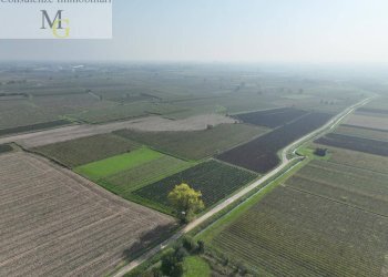 Foto 7 - Terreno agricolo San Bonifacio - foto 7