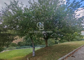 Foto 19 - Casa indipendente Località Cascine Opagna
 
snc, Cascia - foto 19