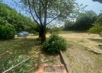 Terreno - Villa via Fei, Torre Mondovì - foto 13