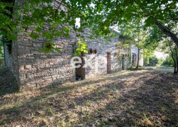 Villa Montepaganuccio, Cagli - foto 10