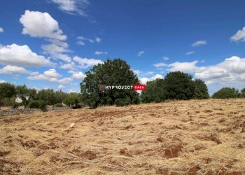 Terreno edificabile Strada Rospano, Martina Franca - foto 3