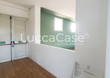 Shed Lucca - photo 11