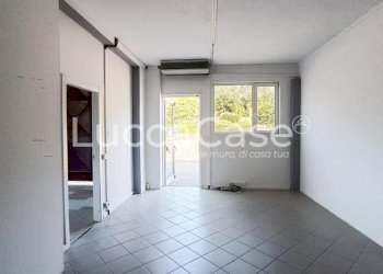 Shed Lucca - photo 12