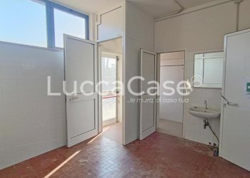 Shed Lucca - photo 15