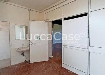 Shed Lucca - photo 17