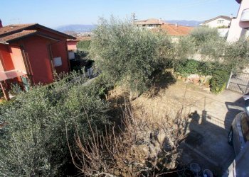 Foto 5 - Appartamento Piazza Giusti, Monsummano Terme - foto 5