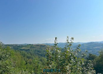 Foto 11 - Rustic Via Roma
 
54, Rocca Cigliè - photo 11