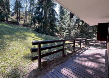 Giardino - Trilocale via Clotes, 78, Sauze d'Oulx - foto 17