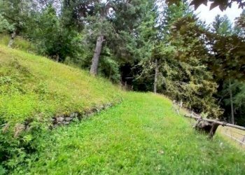 Terreno - Villa Località Campelli, Albosaggia - foto 6