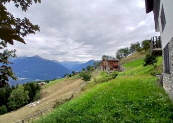 Terreno - Villa Località Campelli, Albosaggia - foto 7