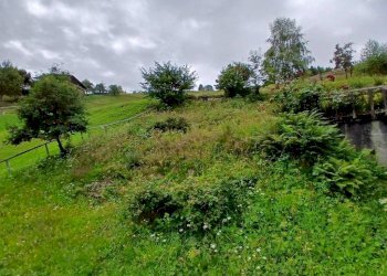 Terreno - Villa Località Campelli, Albosaggia - foto 8