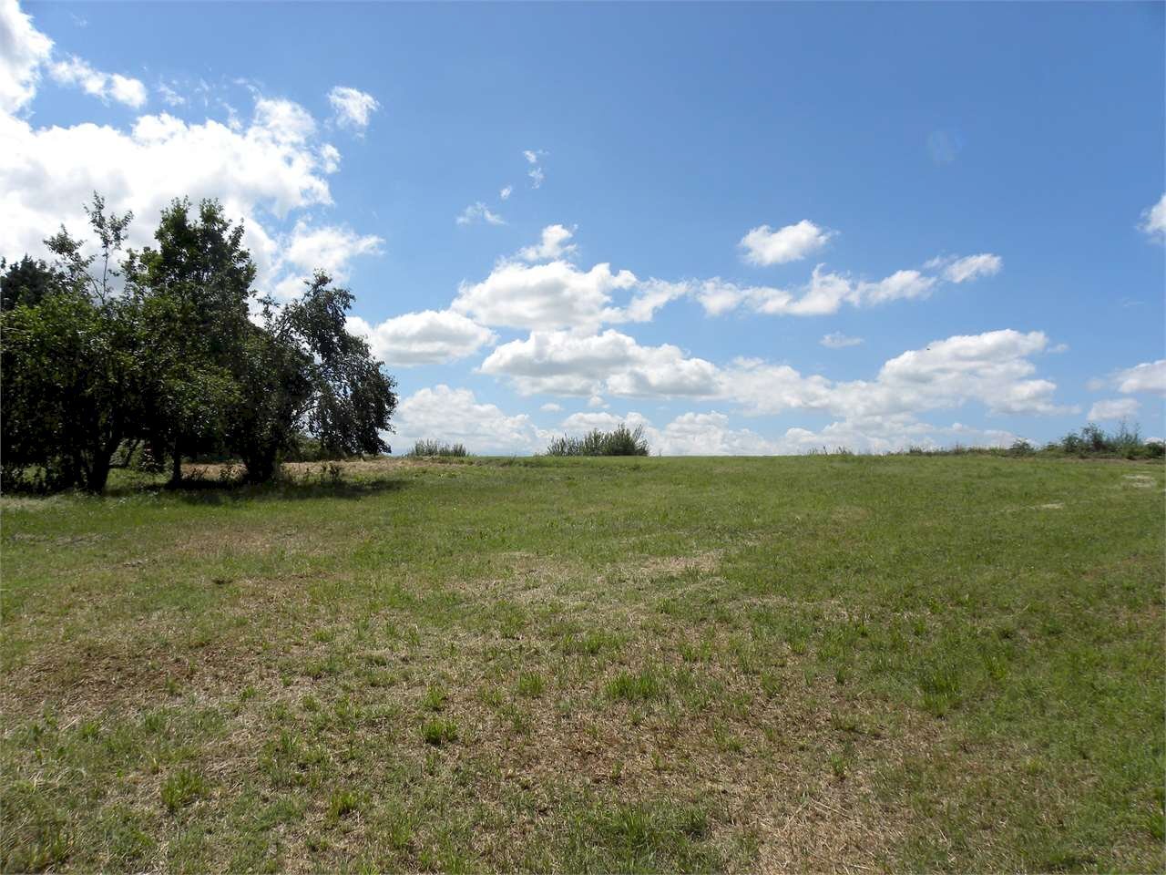 Terreno agricolo Fossano - foto 3