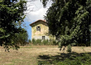 Terreno agricolo Fossano - foto 17