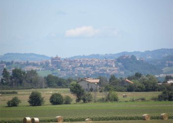 Terreno agricolo Fossano - foto 23