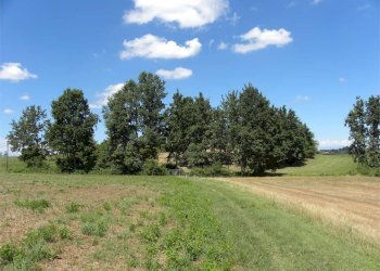 Terreno agricolo Fossano - foto 27