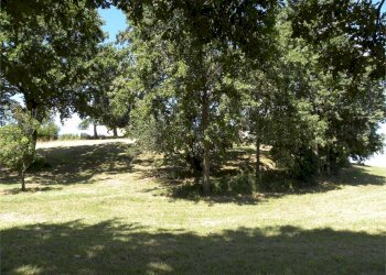 Terreno agricolo Fossano - foto 29