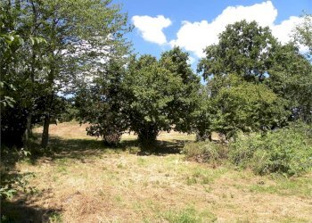 Terreno agricolo Fossano - foto 30