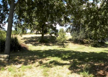 Terreno agricolo Fossano - foto 31