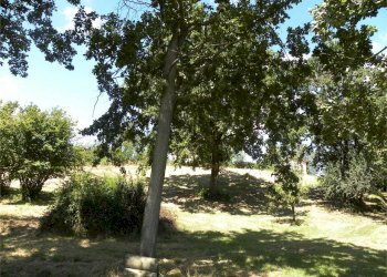 Terreno agricolo Fossano - foto 33