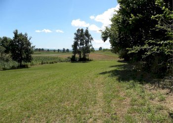Terreno agricolo Fossano - foto 34