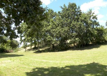 Terreno agricolo Fossano - foto 37