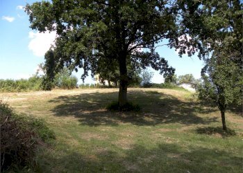 Terreno agricolo Fossano - foto 39