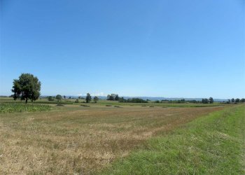 Terreno agricolo Fossano - foto 2