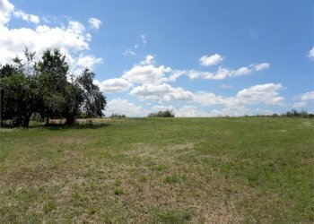 Terreno agricolo Fossano - foto 3