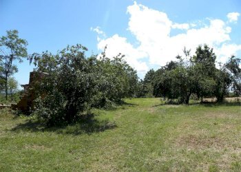 Terreno agricolo Fossano - foto 4